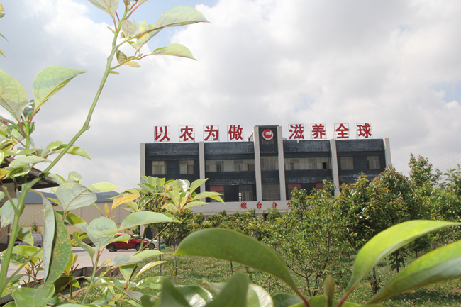 PAÆì½¢Ìüƽ̨(ÖйúÇø)¹Ù·½ÍøÕ¾-PA PlayAce