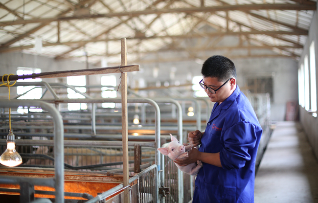 PAÆì½¢Ìüƽ̨(ÖйúÇø)¹Ù·½ÍøÕ¾-PA PlayAce