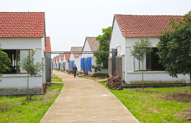 PAÆì½¢Ìüƽ̨(ÖйúÇø)¹Ù·½ÍøÕ¾-PA PlayAce