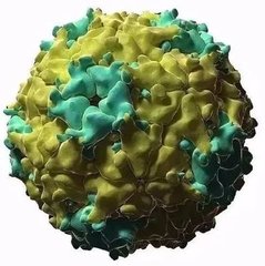 PA�콢��ƽ̨(�й���)�ٷ���վ-PA PlayAce