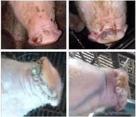 PA�콢��ƽ̨(�й���)�ٷ���վ-PA PlayAce