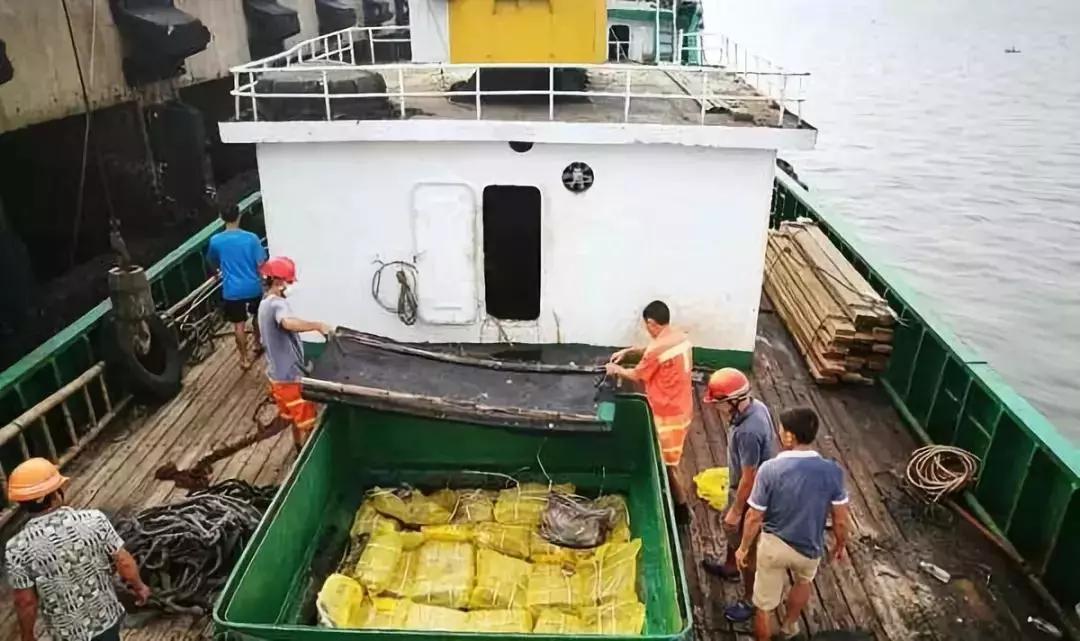 PA�콢��ƽ̨(�й���)�ٷ���վ-PA PlayAce