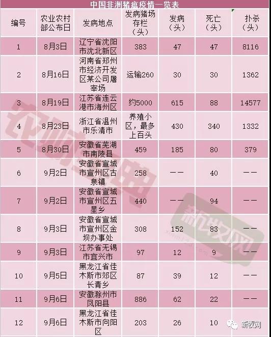 PA�콢��ƽ̨(�й���)�ٷ���վ-PA PlayAce