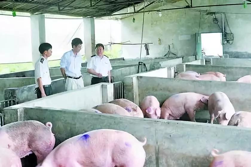 PA�콢��ƽ̨(�й���)�ٷ���վ-PA PlayAce