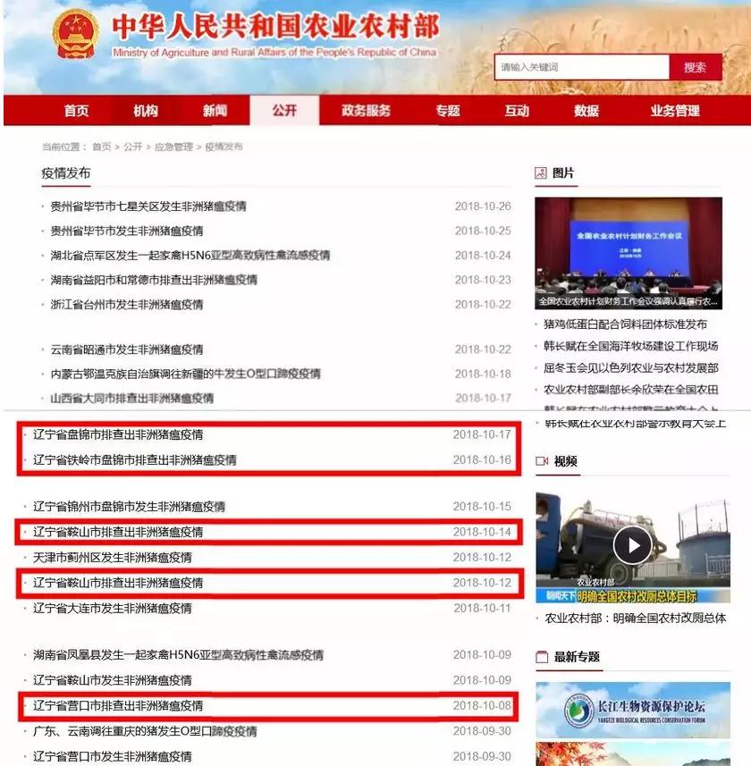 PA�콢��ƽ̨(�й���)�ٷ���վ-PA PlayAce