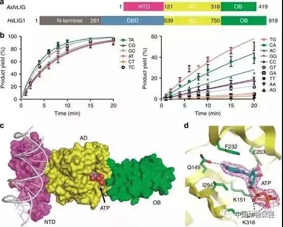 PA�콢��ƽ̨(�й���)�ٷ���վ-PA PlayAce