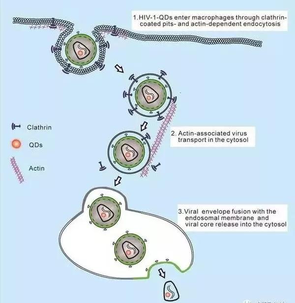 PA�콢��ƽ̨(�й���)�ٷ���վ-PA PlayAce