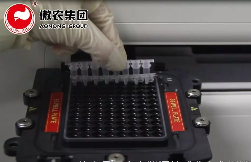 PA�콢��ƽ̨(�й���)�ٷ���վ-PA PlayAce