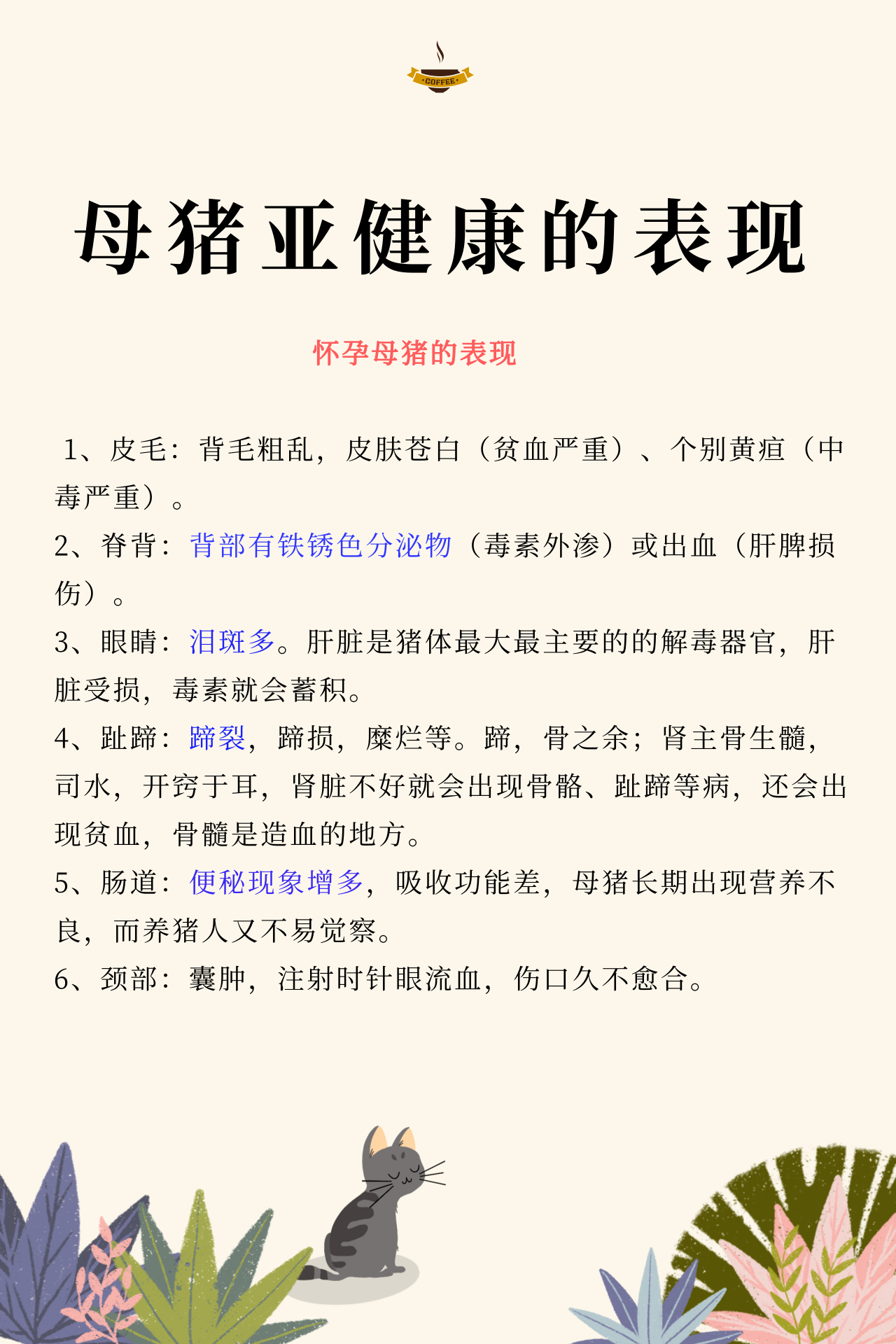 PA�콢��ƽ̨(�й���)�ٷ���վ-PA PlayAce