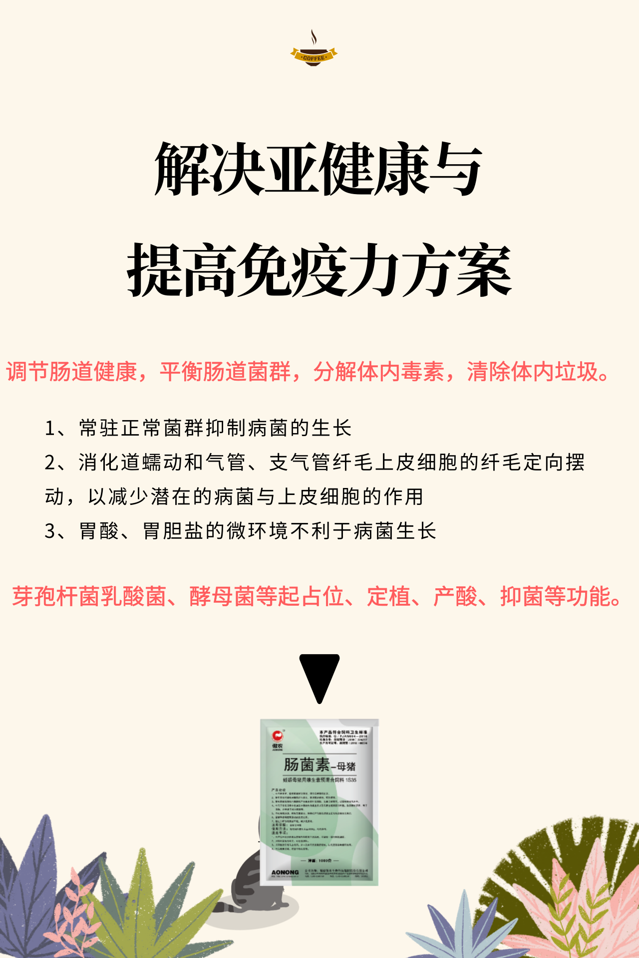 PA�콢��ƽ̨(�й���)�ٷ���վ-PA PlayAce