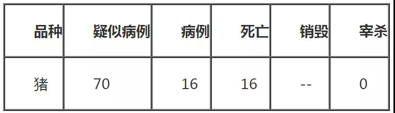 PA�콢��ƽ̨(�й���)�ٷ���վ-PA PlayAce