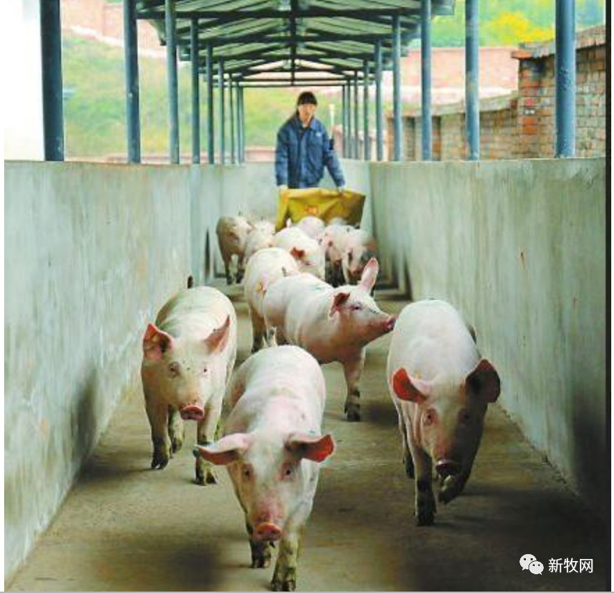 PA�콢��ƽ̨(�й���)�ٷ���վ-PA PlayAce