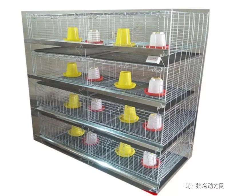 PA�콢��ƽ̨(�й���)�ٷ���վ-PA PlayAce