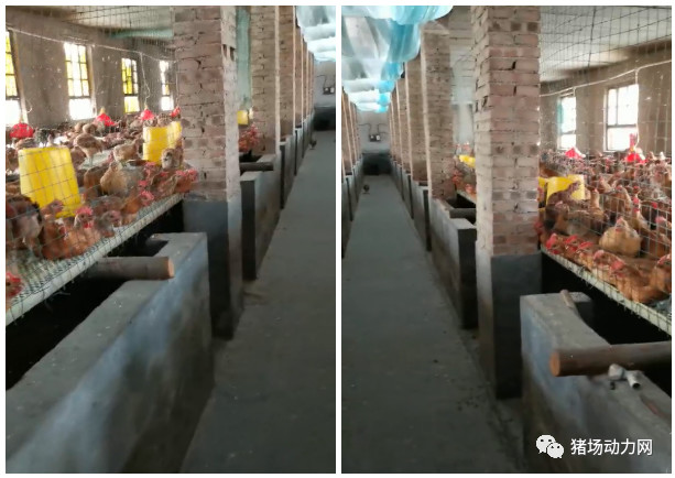 PA�콢��ƽ̨(�й���)�ٷ���վ-PA PlayAce