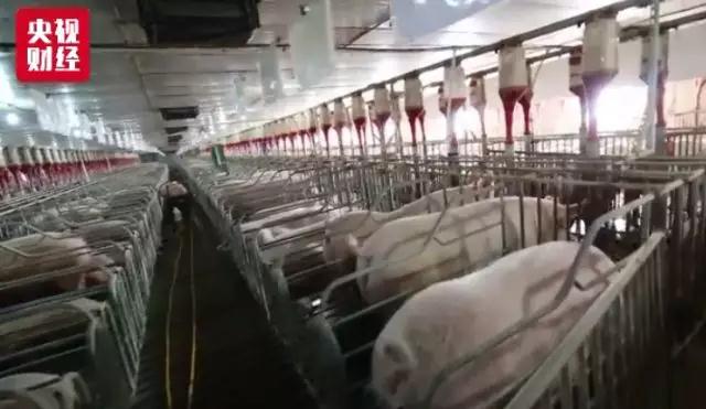 PA旗舰厅平台(中国区)官方网站-PA PlayAce