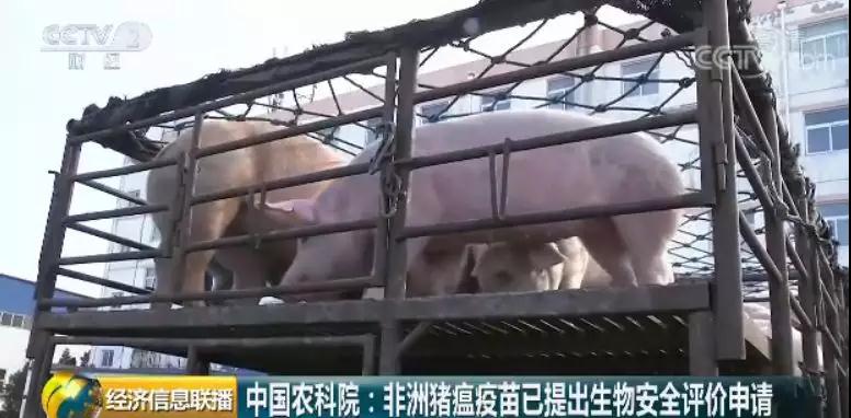 PA�콢��ƽ̨(�й���)�ٷ���վ-PA PlayAce