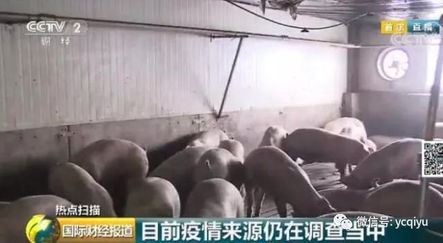 PA�콢��ƽ̨(�й���)�ٷ���վ-PA PlayAce