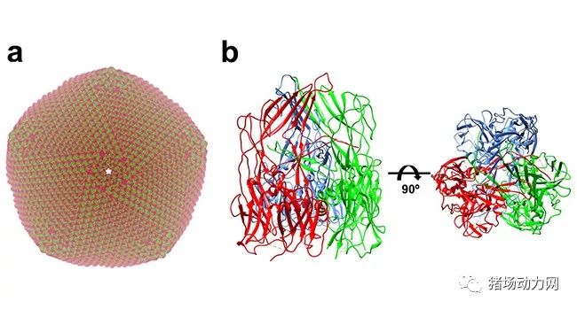 PA�콢��ƽ̨(�й���)�ٷ���վ-PA PlayAce