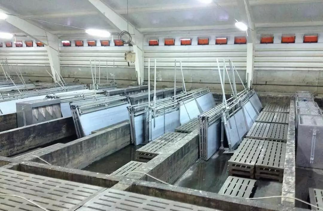 PA�콢��ƽ̨(�й���)�ٷ���վ-PA PlayAce