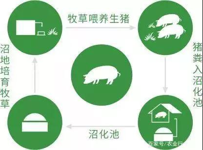 PA旗舰厅平台(中国区)官方网站-PA PlayAce