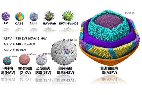 PA旗舰厅平台(中国区)官方网站-PA PlayAce