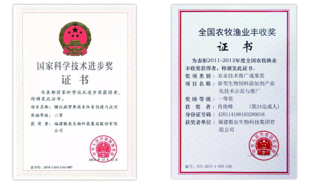 PA旗舰厅平台(中国区)官方网站-PA PlayAce