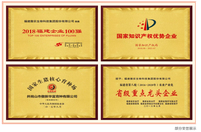 PA旗舰厅平台(中国区)官方网站-PA PlayAce