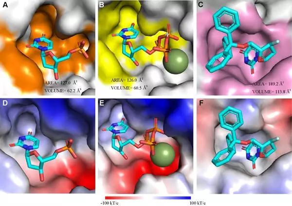 PA�콢��ƽ̨(�й���)�ٷ���վ-PA PlayAce