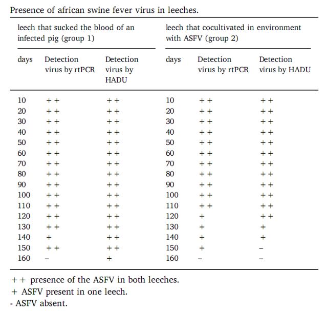 PA�콢��ƽ̨(�й���)�ٷ���վ-PA PlayAce
