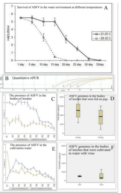 PA�콢��ƽ̨(�й���)�ٷ���վ-PA PlayAce