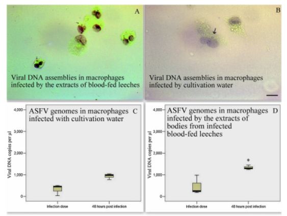 PA�콢��ƽ̨(�й���)�ٷ���վ-PA PlayAce