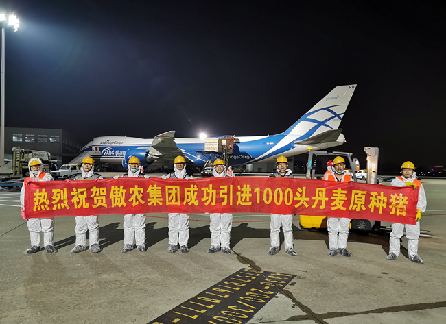 PAÆì½¢Ìüƽ̨(ÖйúÇø)¹Ù·½ÍøÕ¾-PA PlayAce