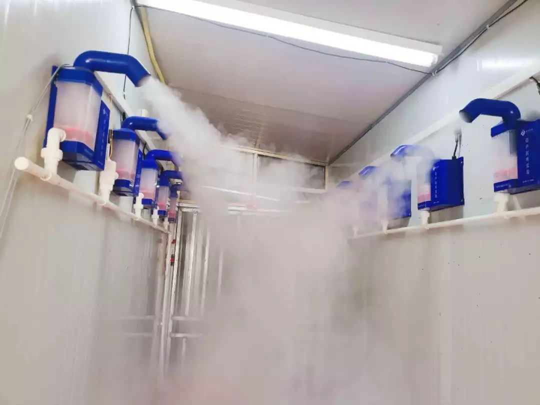 PA�콢��ƽ̨(�й���)�ٷ���վ-PA PlayAce