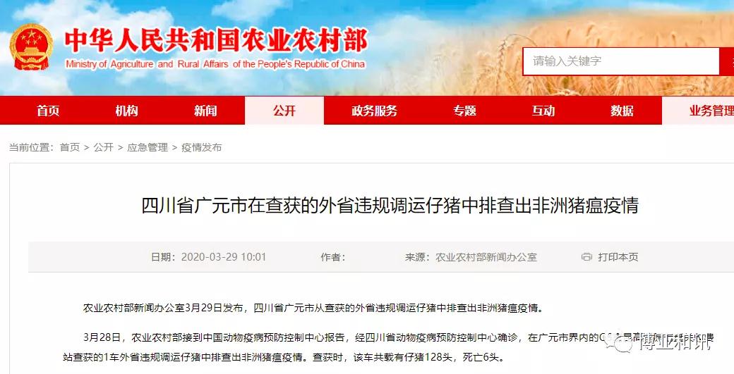 PA�콢��ƽ̨(�й���)�ٷ���վ-PA PlayAce