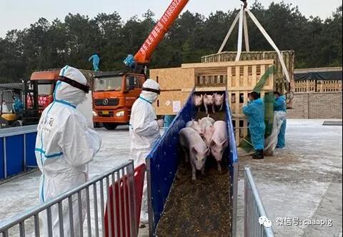 PA�콢��ƽ̨(�й���)�ٷ���վ-PA PlayAce