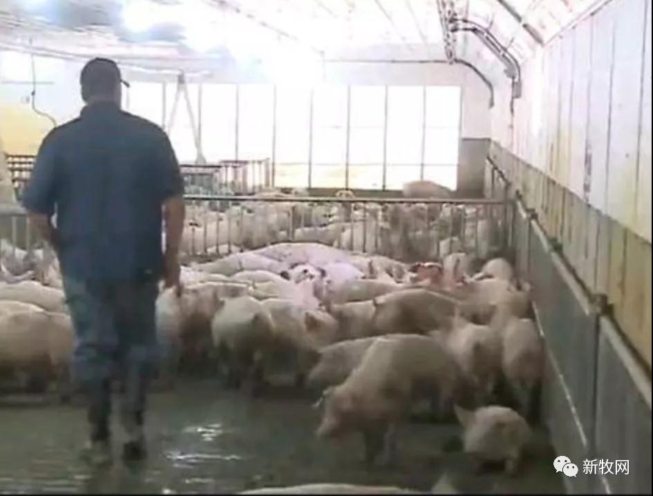 PAÆì½¢Ìüƽ̨(ÖйúÇø)¹Ù·½ÍøÕ¾-PA PlayAce