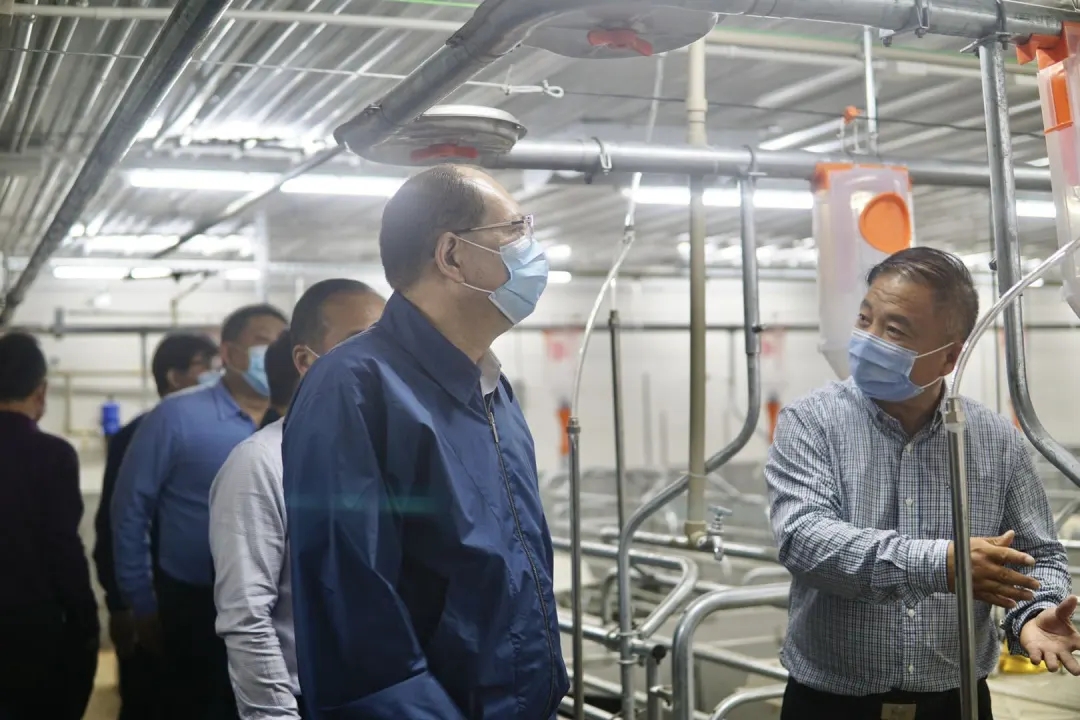 PA旗舰厅平台(中国区)官方网站-PA PlayAce