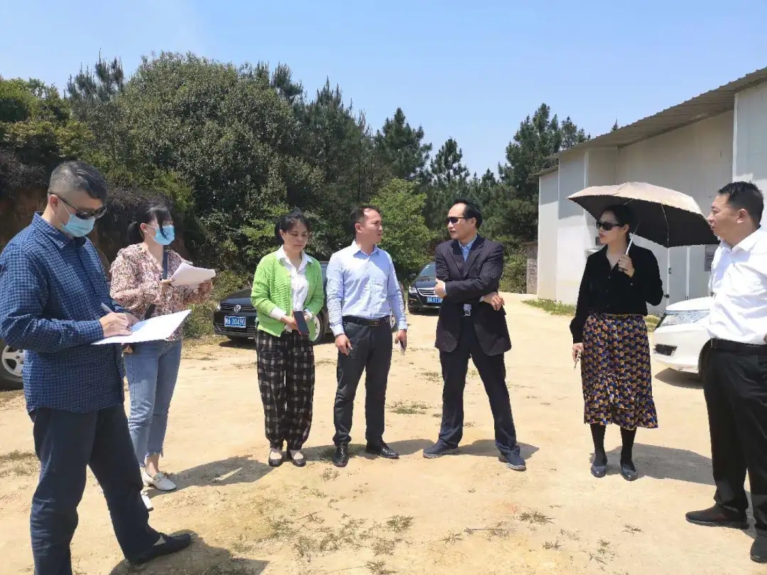 PA�콢��ƽ̨(�й���)�ٷ���վ-PA PlayAce