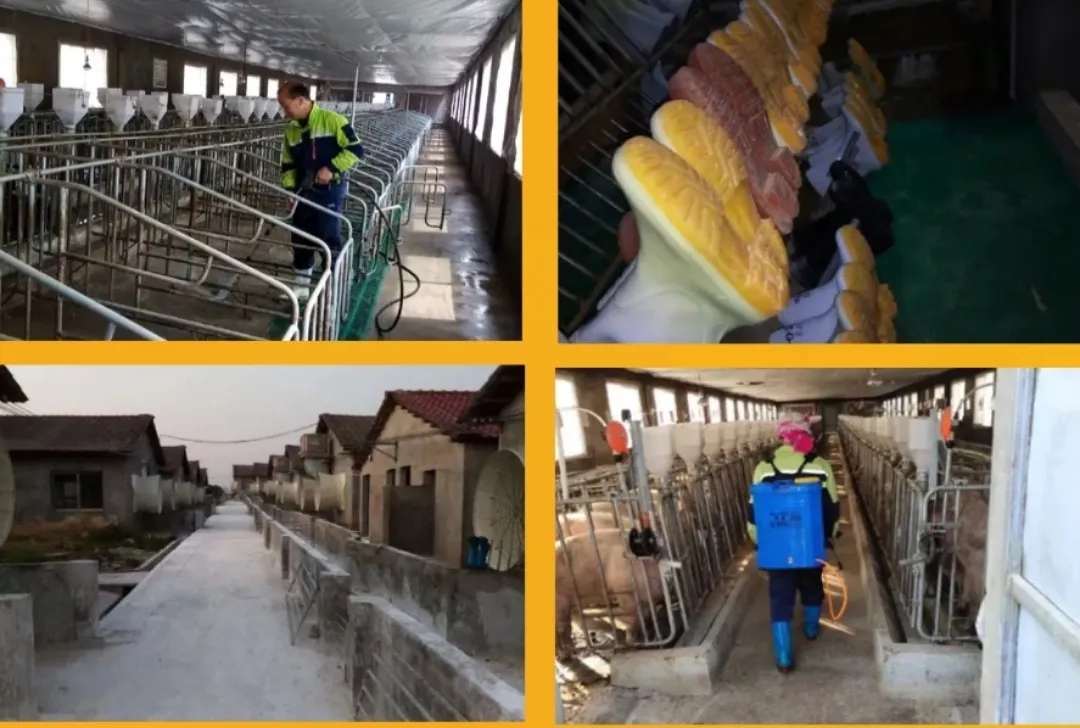 PA�콢��ƽ̨(�й���)�ٷ���վ-PA PlayAce