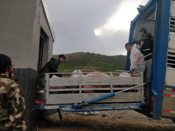 PA�콢��ƽ̨(�й���)�ٷ���վ-PA PlayAce