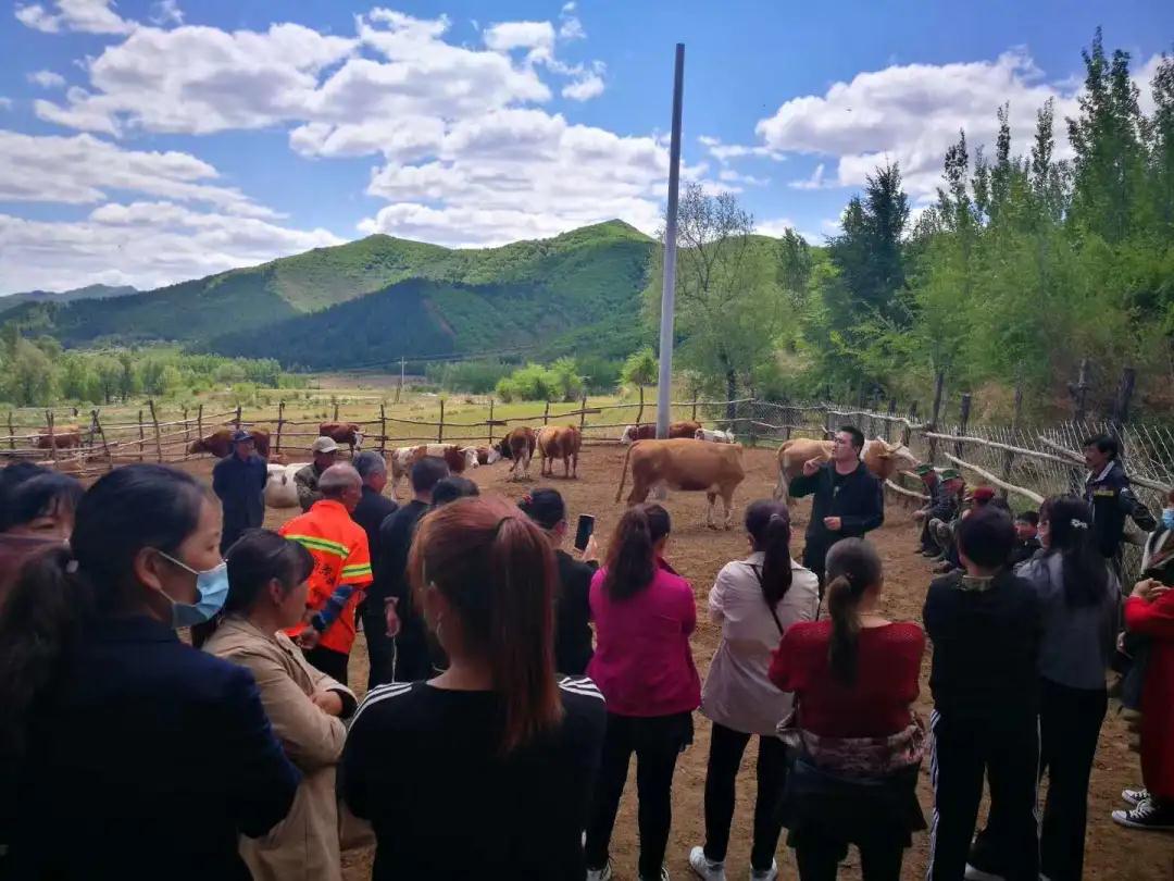 PA�콢��ƽ̨(�й���)�ٷ���վ-PA PlayAce