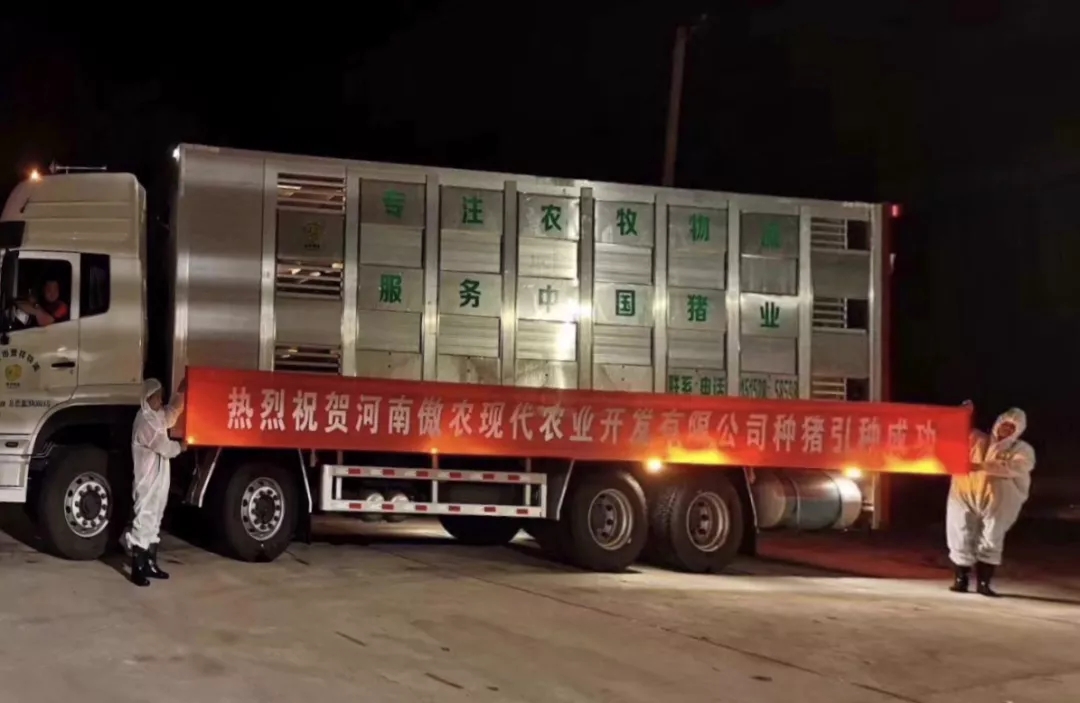 PA�콢��ƽ̨(�й���)�ٷ���վ-PA PlayAce