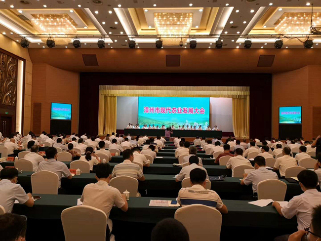 PA�콢��ƽ̨(�й���)�ٷ���վ-PA PlayAce