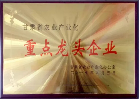 PA旗舰厅平台(中国区)官方网站-PA PlayAce