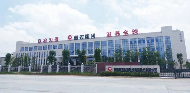 PA�콢��ƽ̨(�й���)�ٷ���վ-PA PlayAce