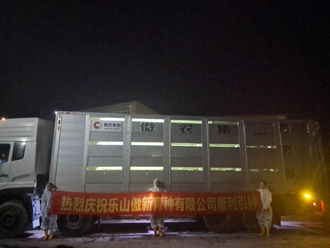 PA�콢��ƽ̨(�й���)�ٷ���վ-PA PlayAce