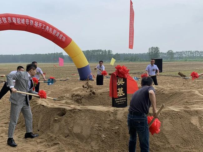 PA�콢��ƽ̨(�й���)�ٷ���վ-PA PlayAce