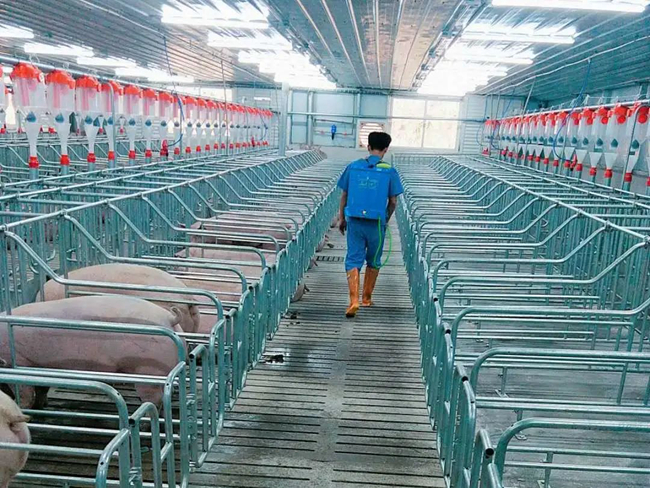 PA旗舰厅平台(中国区)官方网站-PA PlayAce