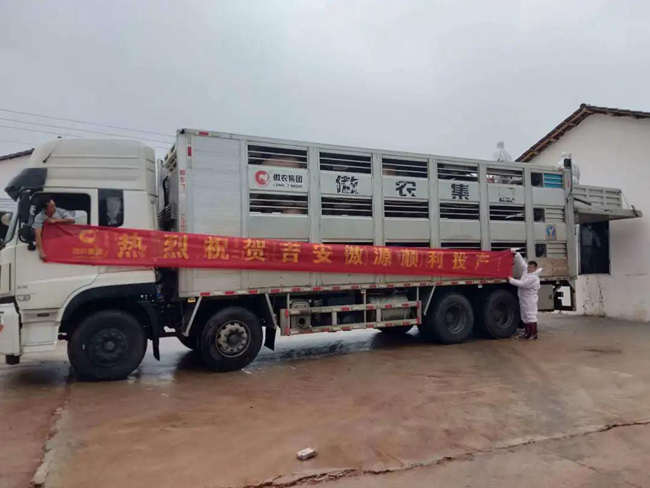 PA�콢��ƽ̨(�й���)�ٷ���վ-PA PlayAce