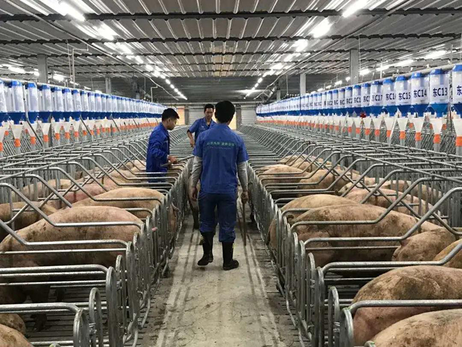 PA�콢��ƽ̨(�й���)�ٷ���վ-PA PlayAce